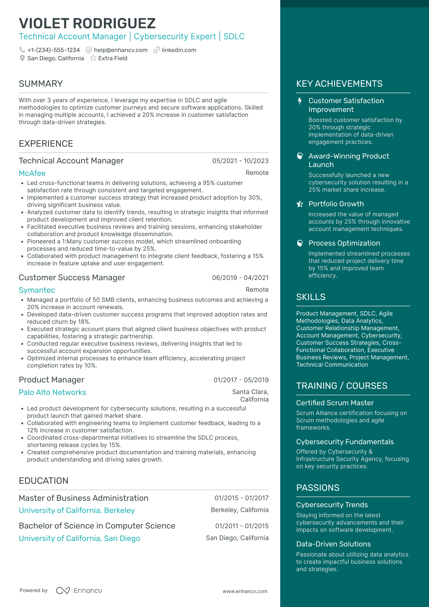 A resume example of a Technical Sales Executive