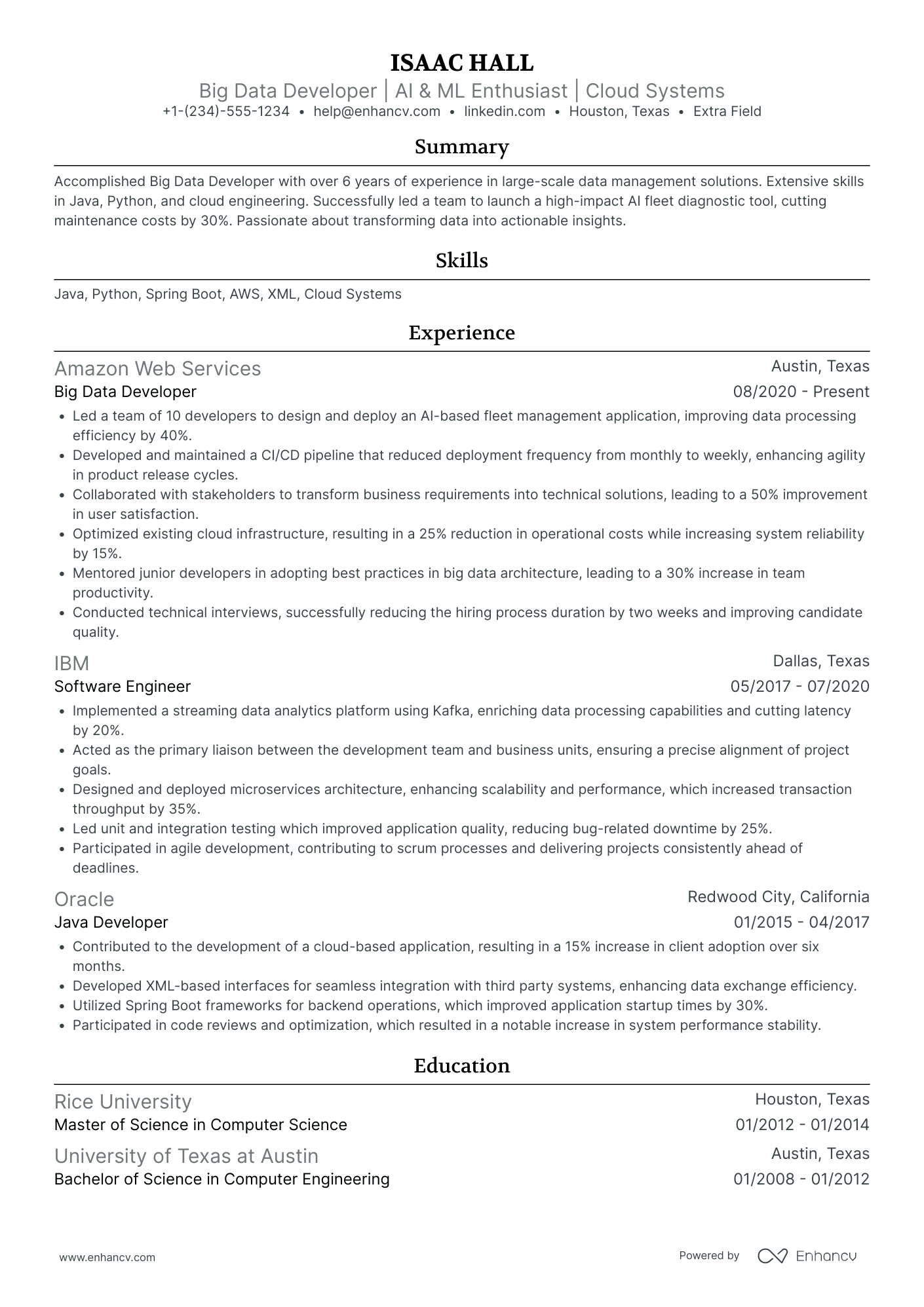 A resume example of a Blockchain Network Developer