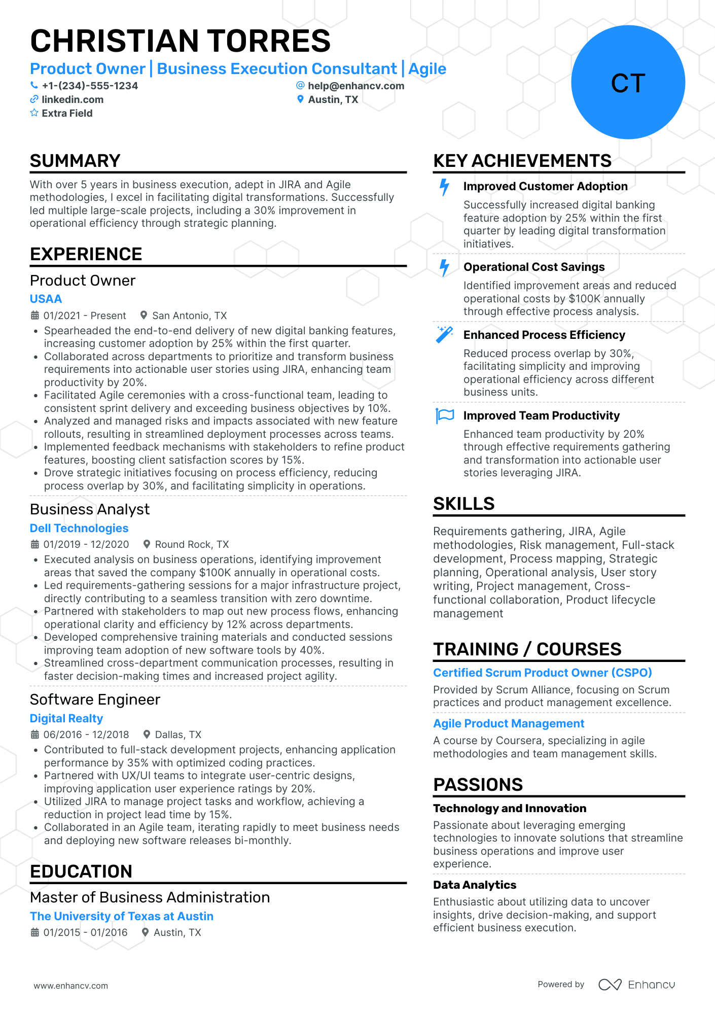 A resume example of a Business Owner Consultant