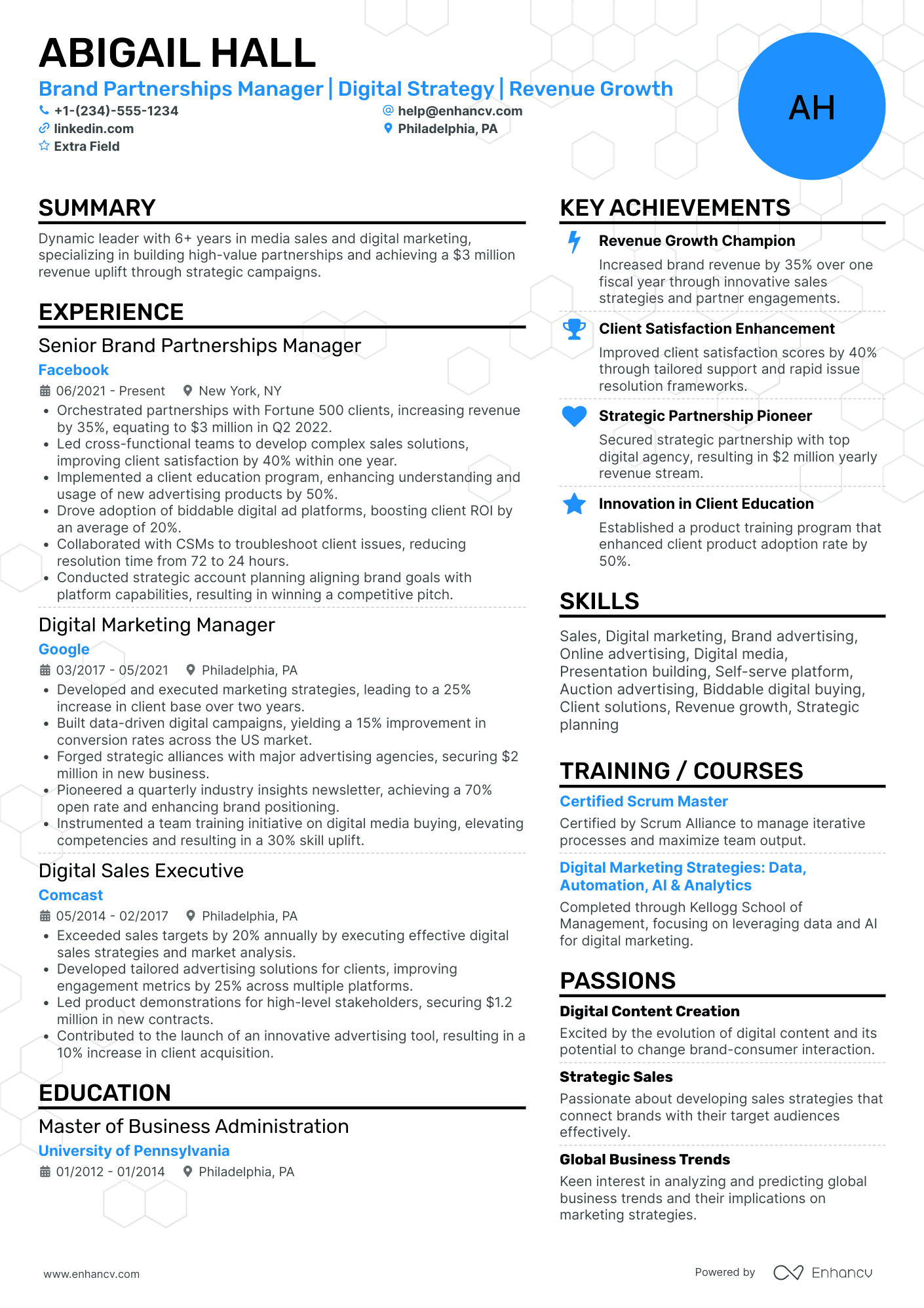A resume example of a Brand Partnerships Manager
