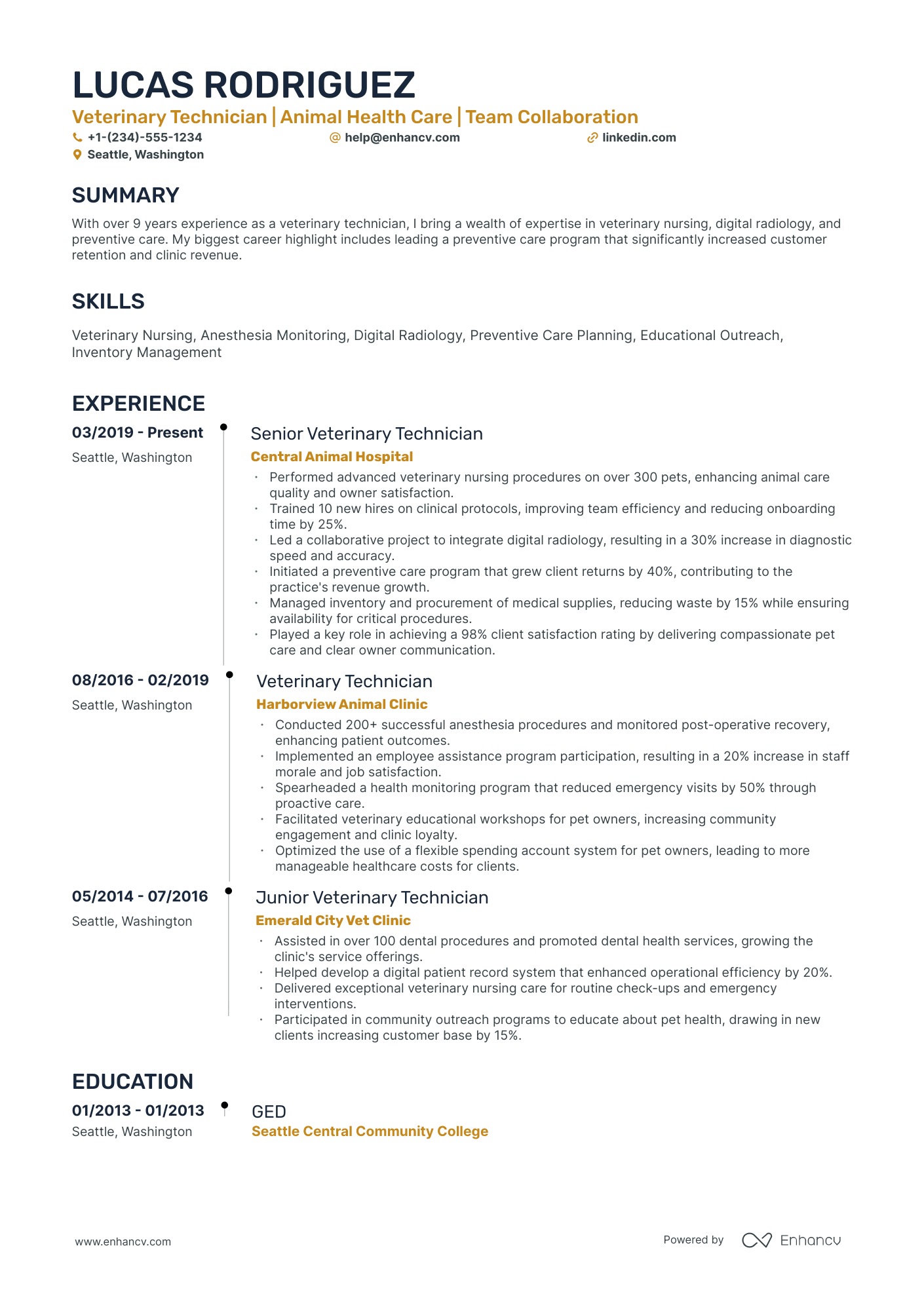 A resume example of a Timeline
