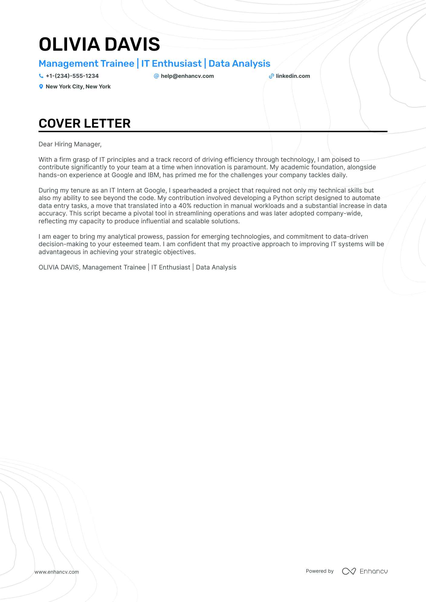 A resume example of a Entry Level IT