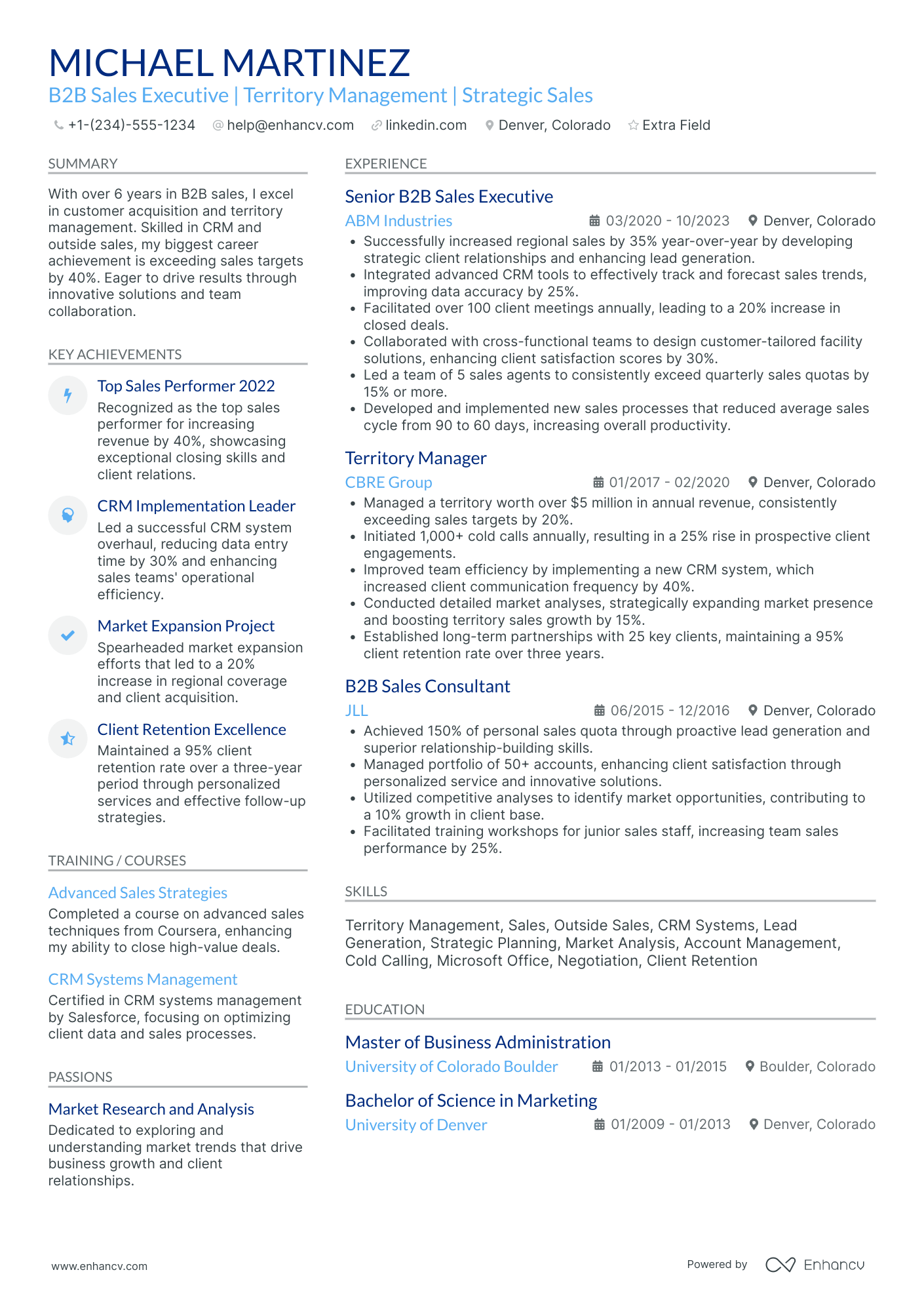 B2C Sales Executive Resume Example