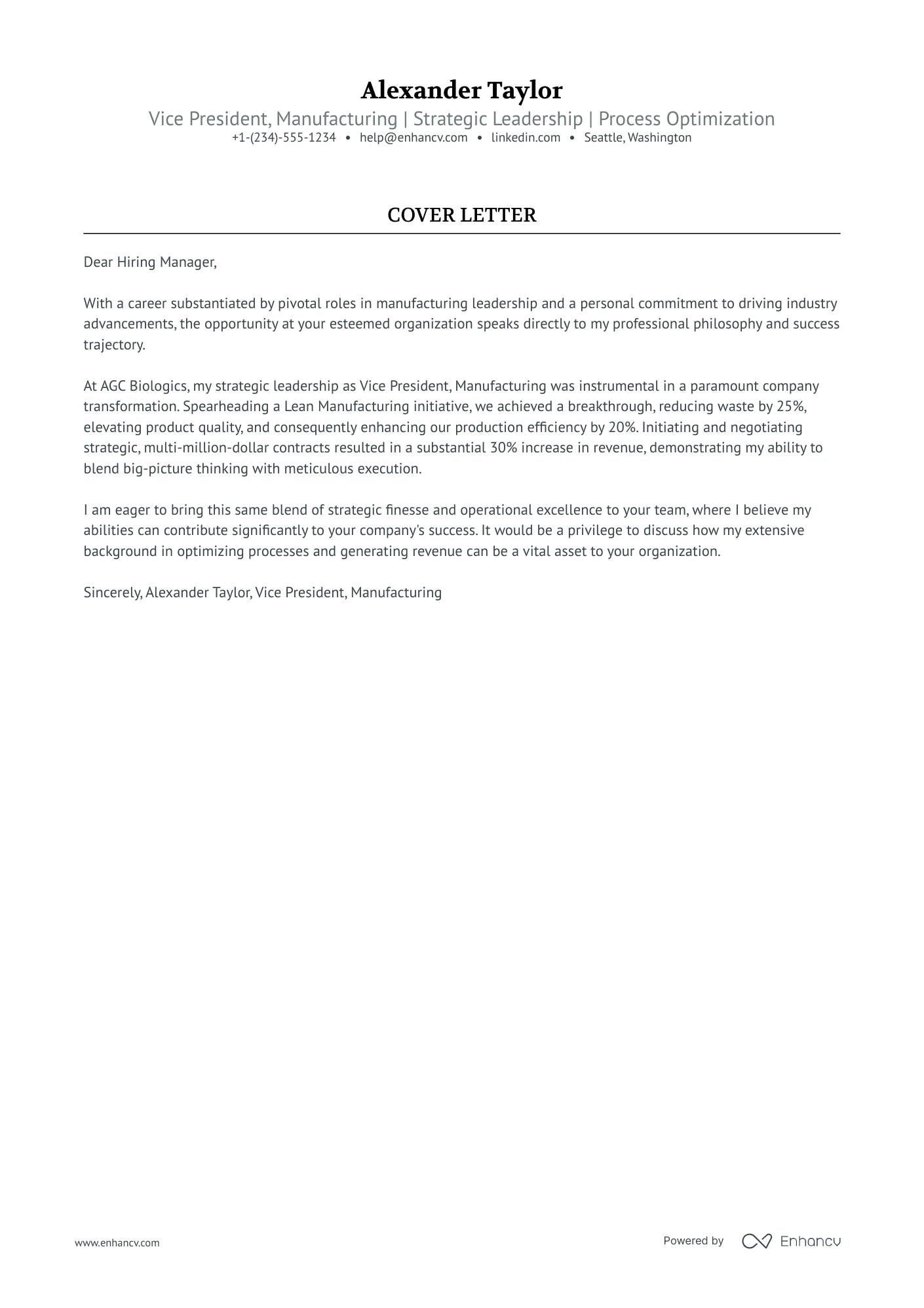 Vice President Resume Example
