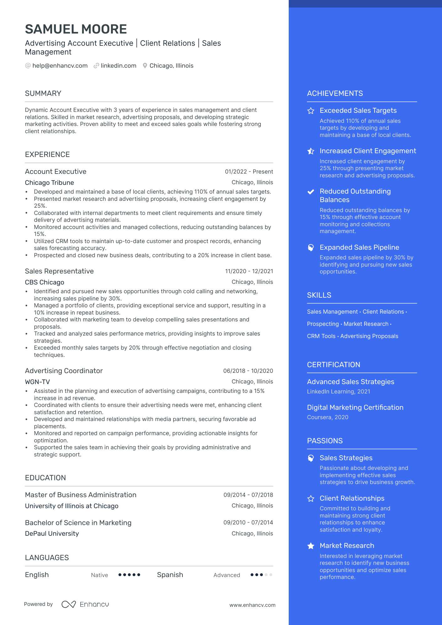 Advertising Account Executive Resume Example