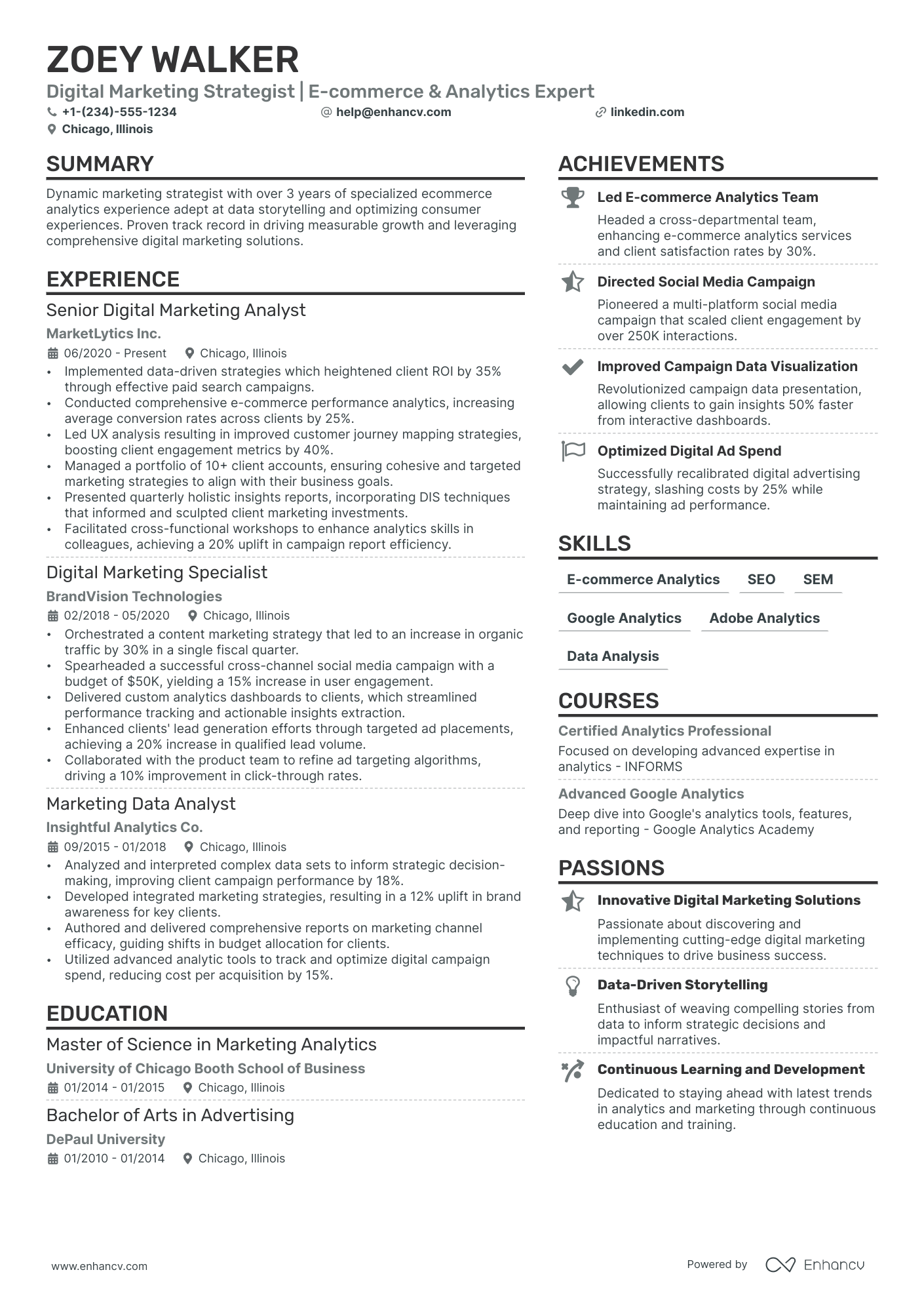 Ecommerce Marketing Resume Example