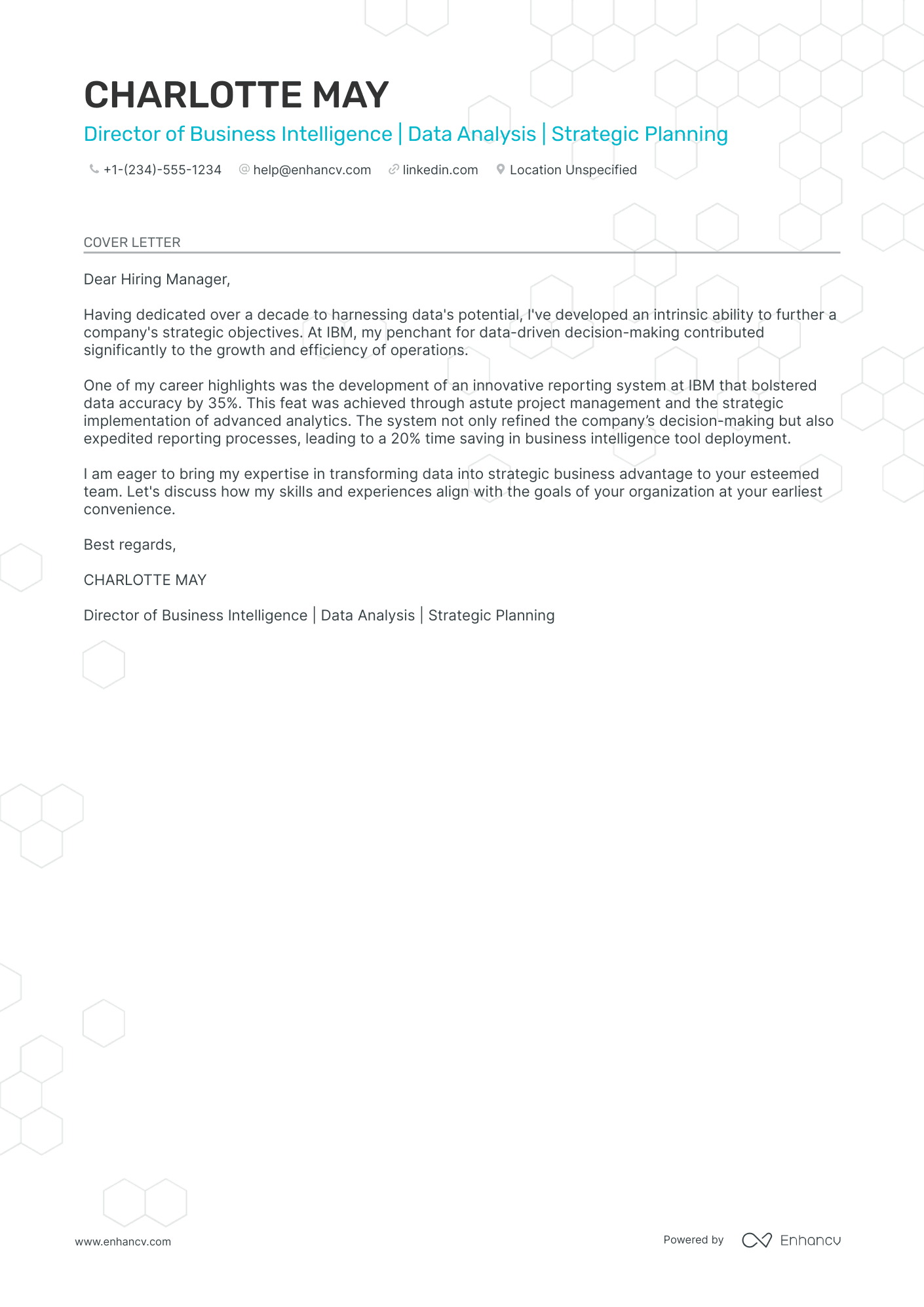 Business Intelligence Director Resume Example