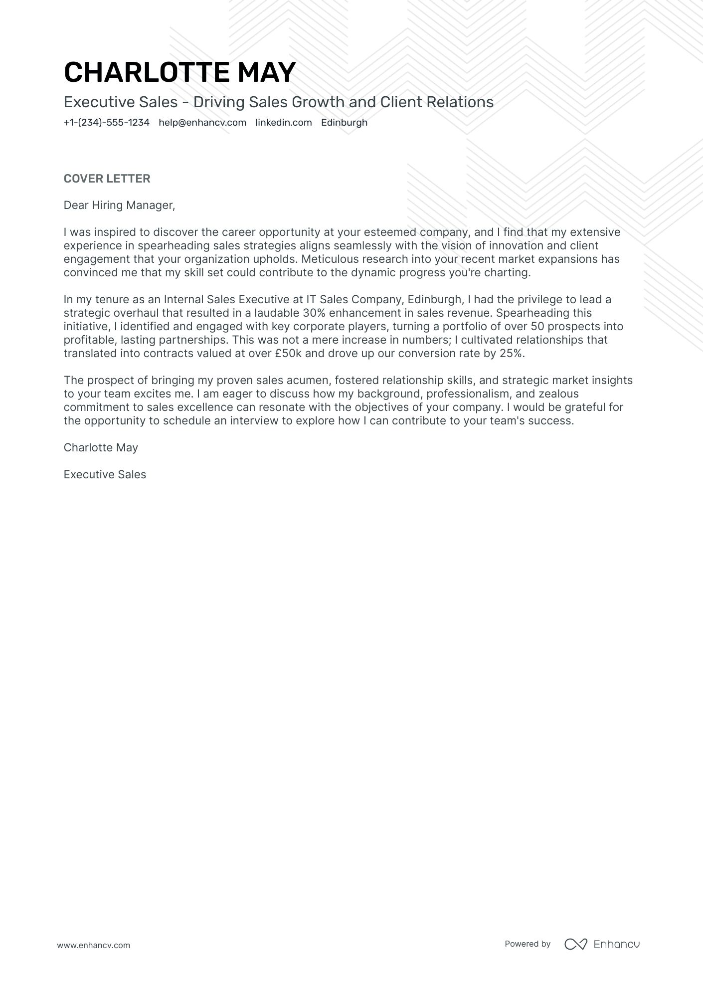 Executive Sales Resume Example