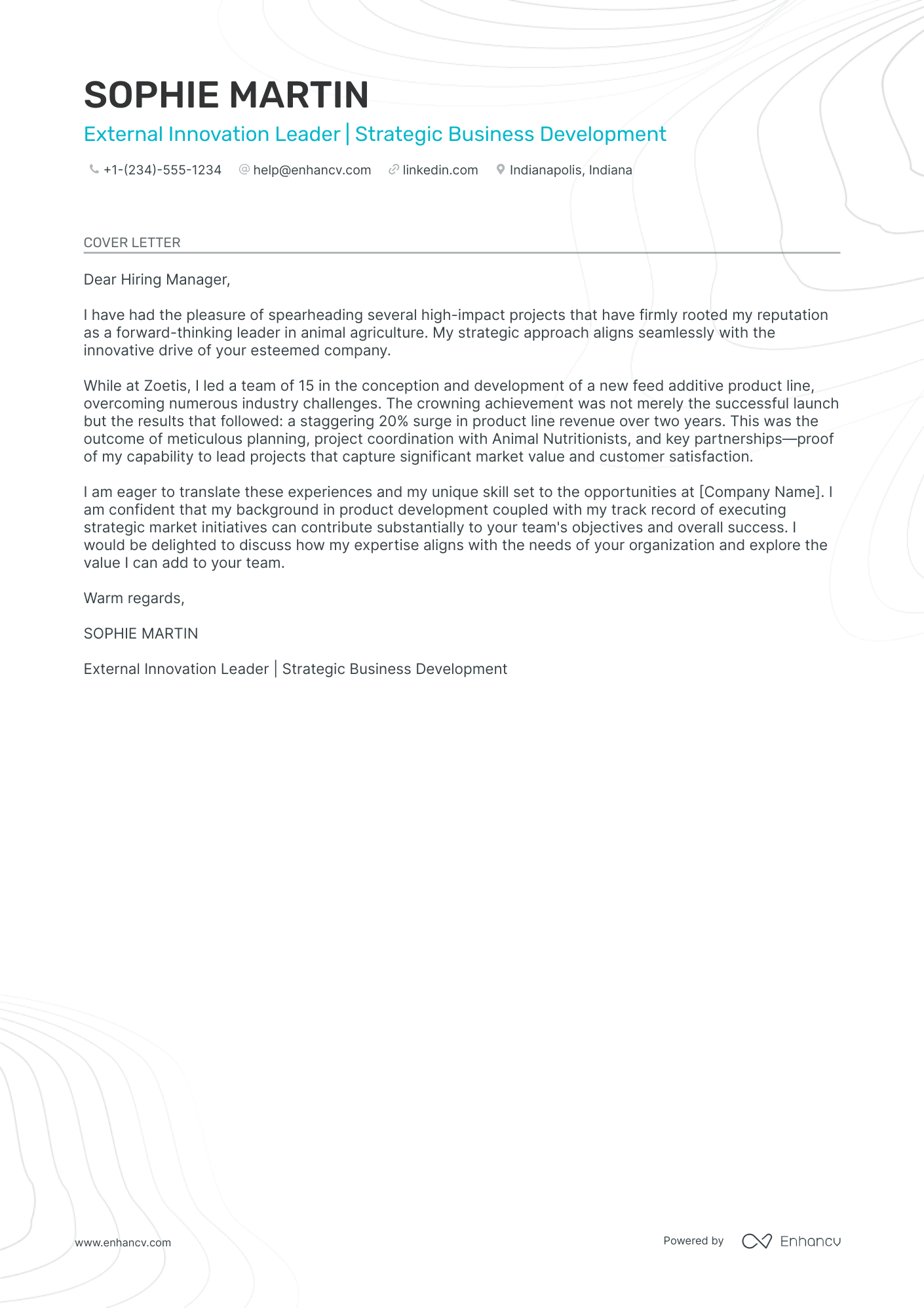 Executive Manager Resume Example