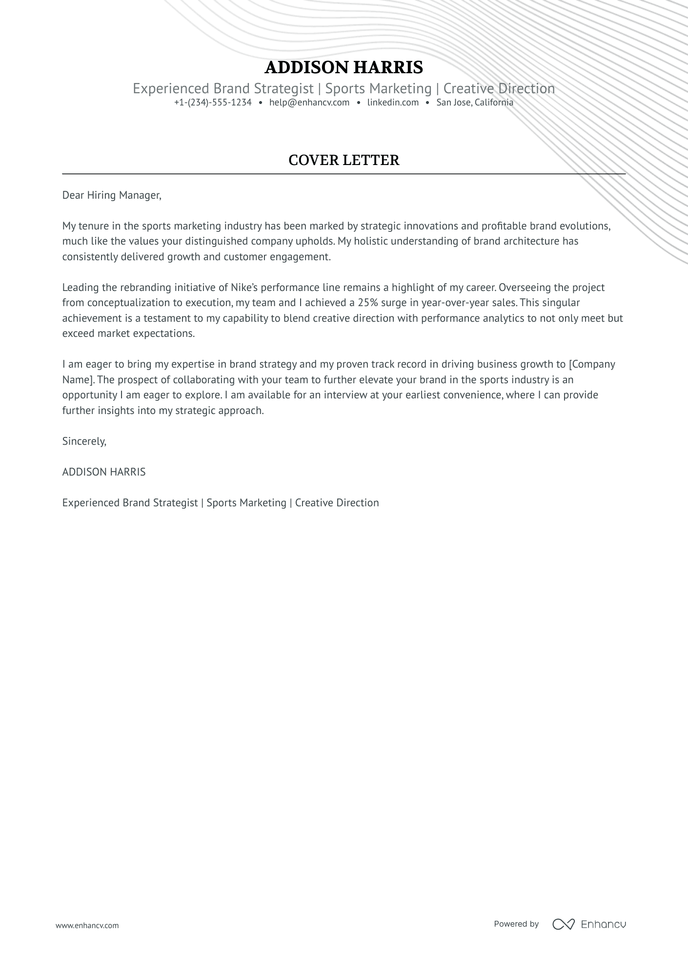 Brand Director Resume Example