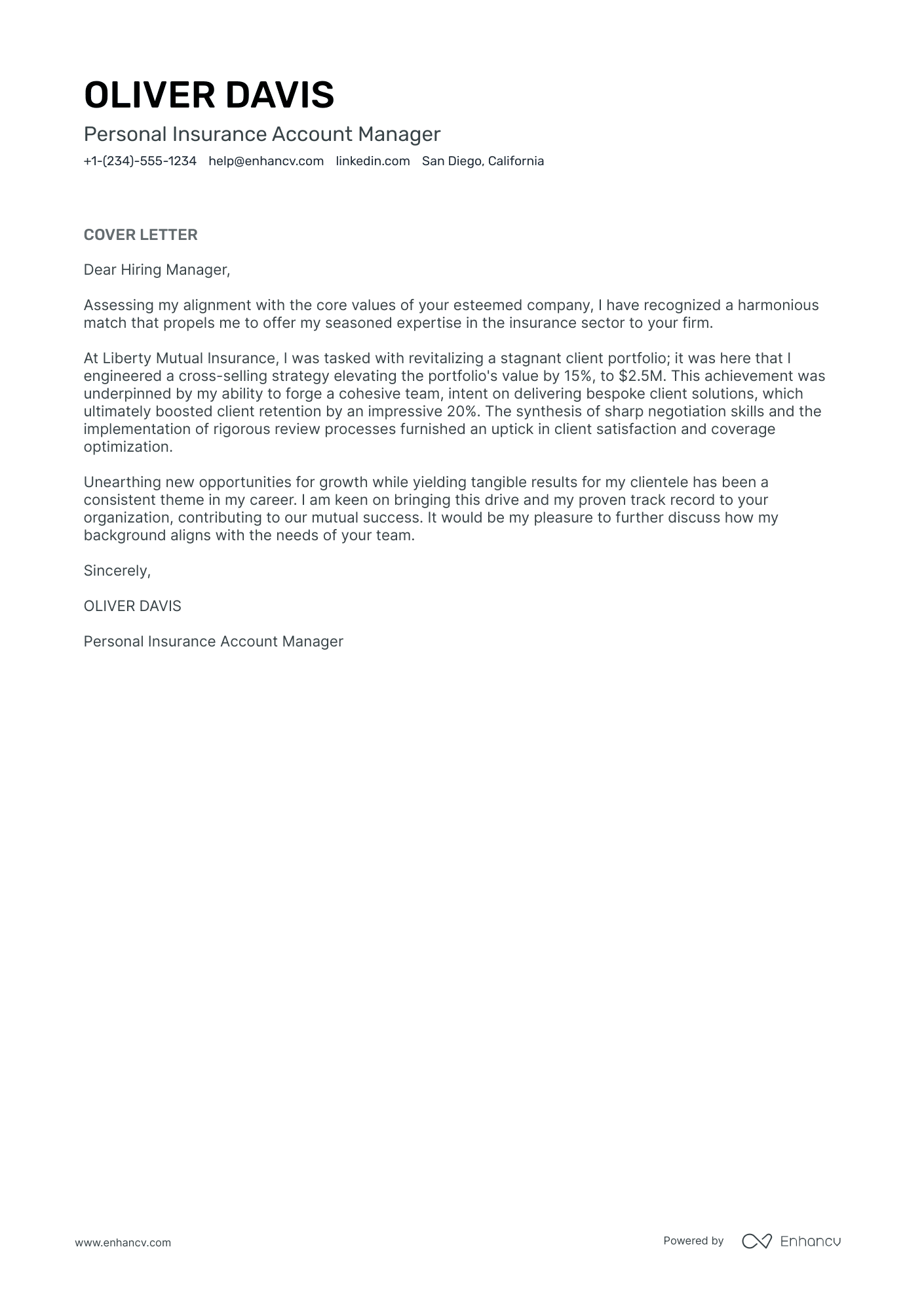 Insurance Account Manager Resume Example