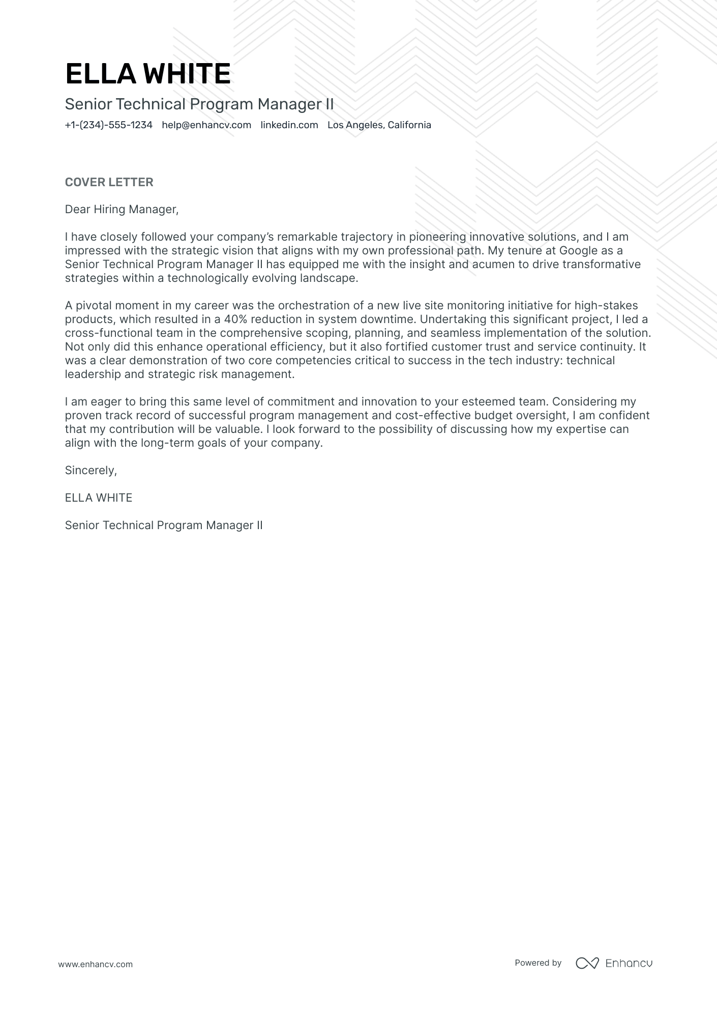 Technical Program Manager Resume Example