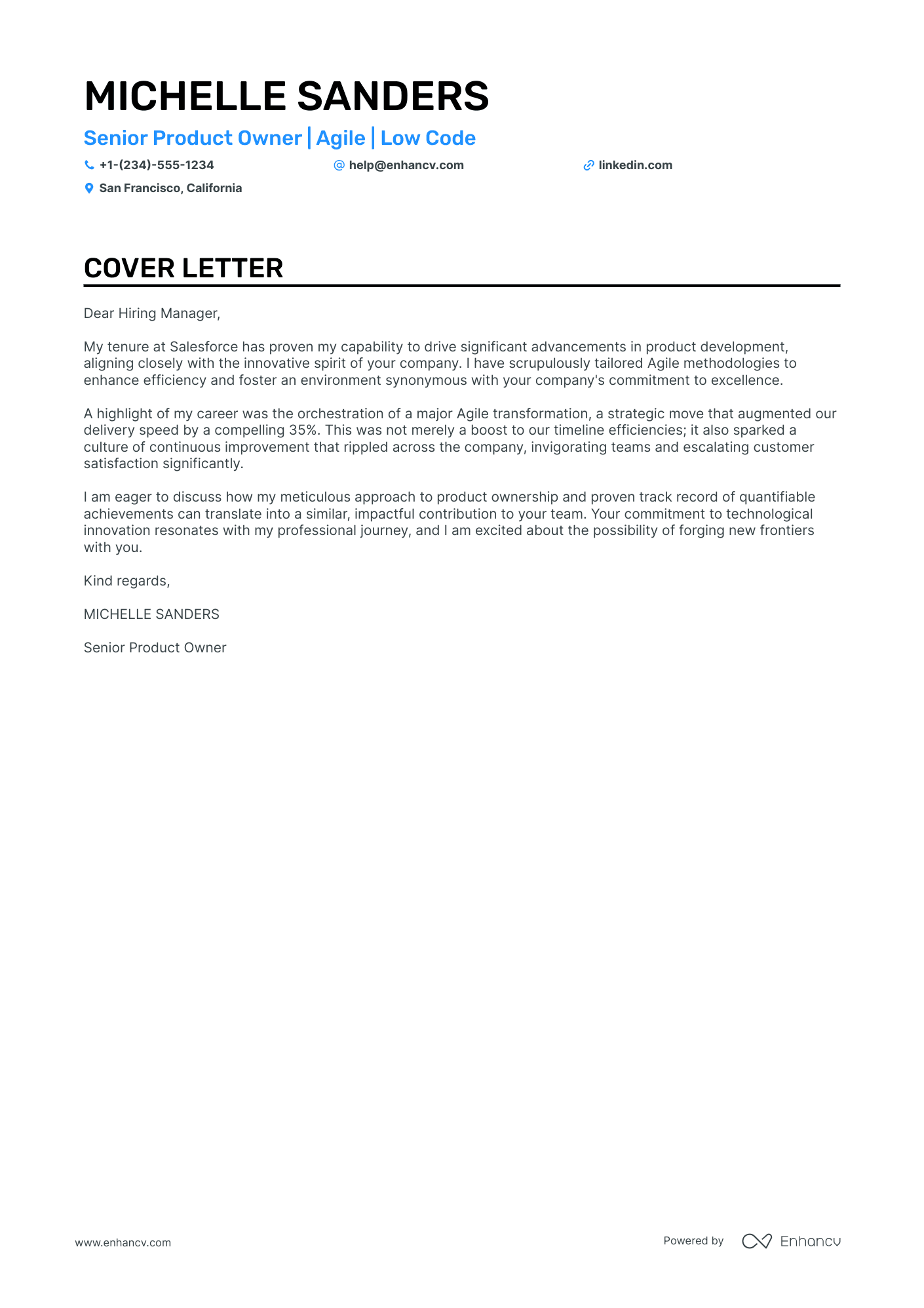 Senior Product Owner Resume Example