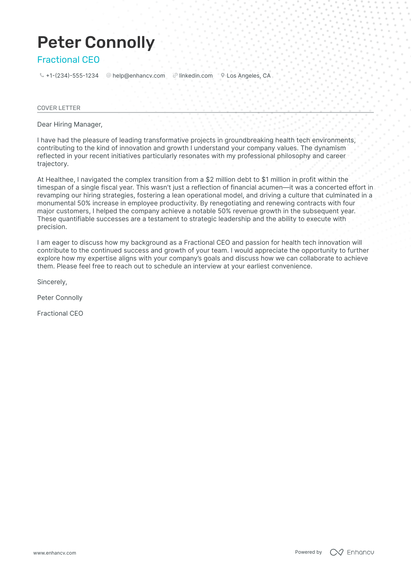 Fractional CEO Resume Example