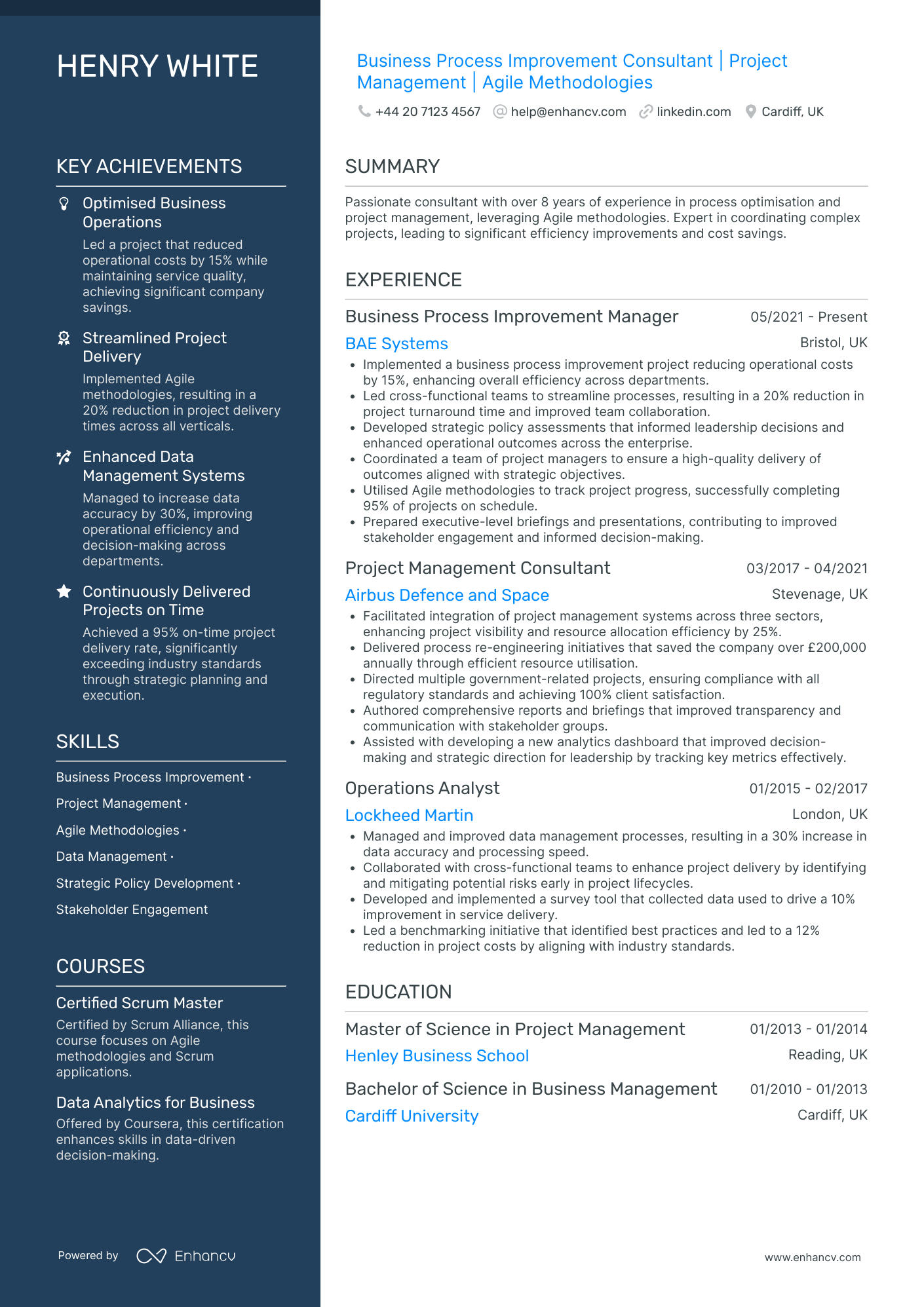 Business Process Improvement Consultant