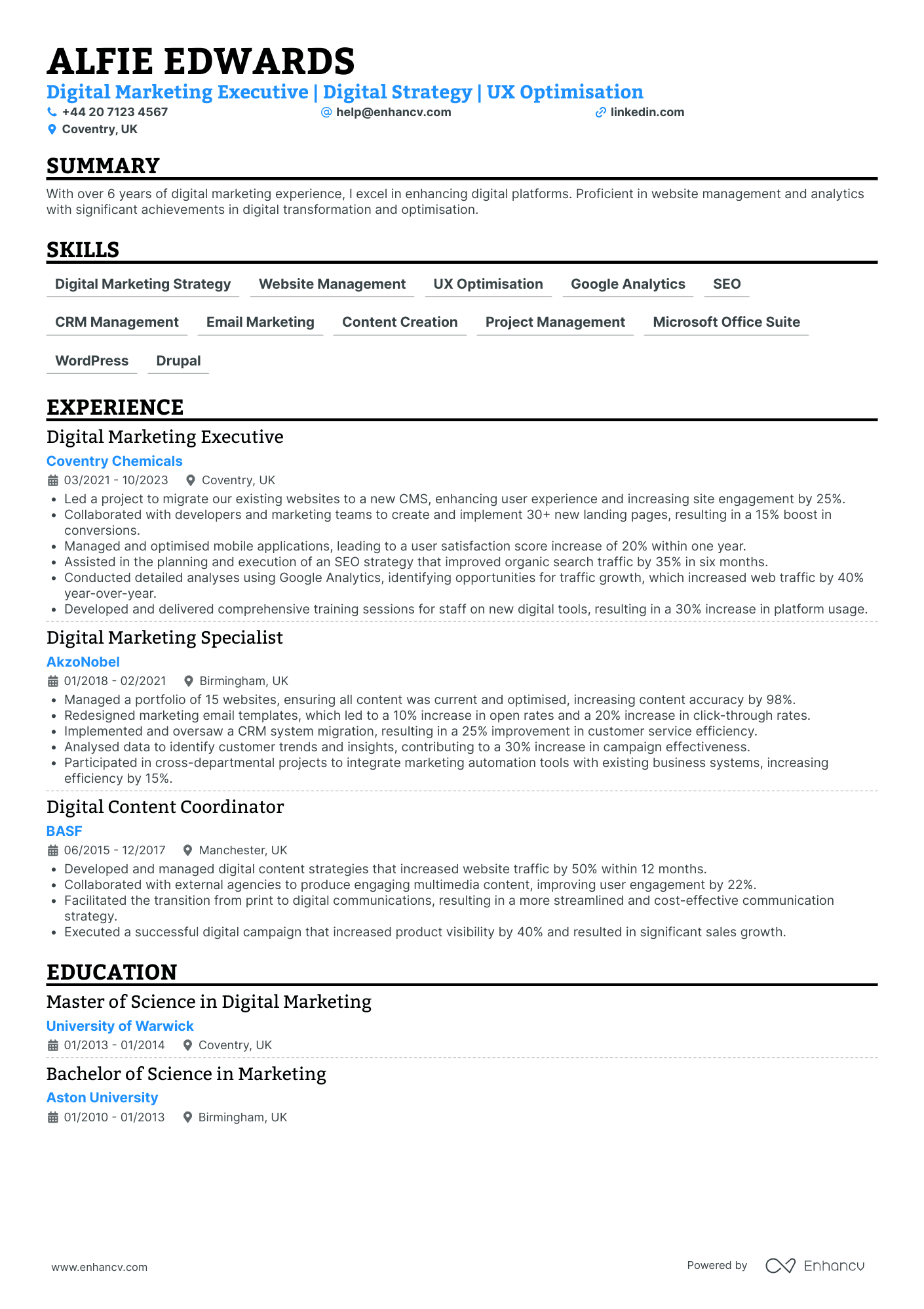 Digital Marketing Executive in Automotive Industry