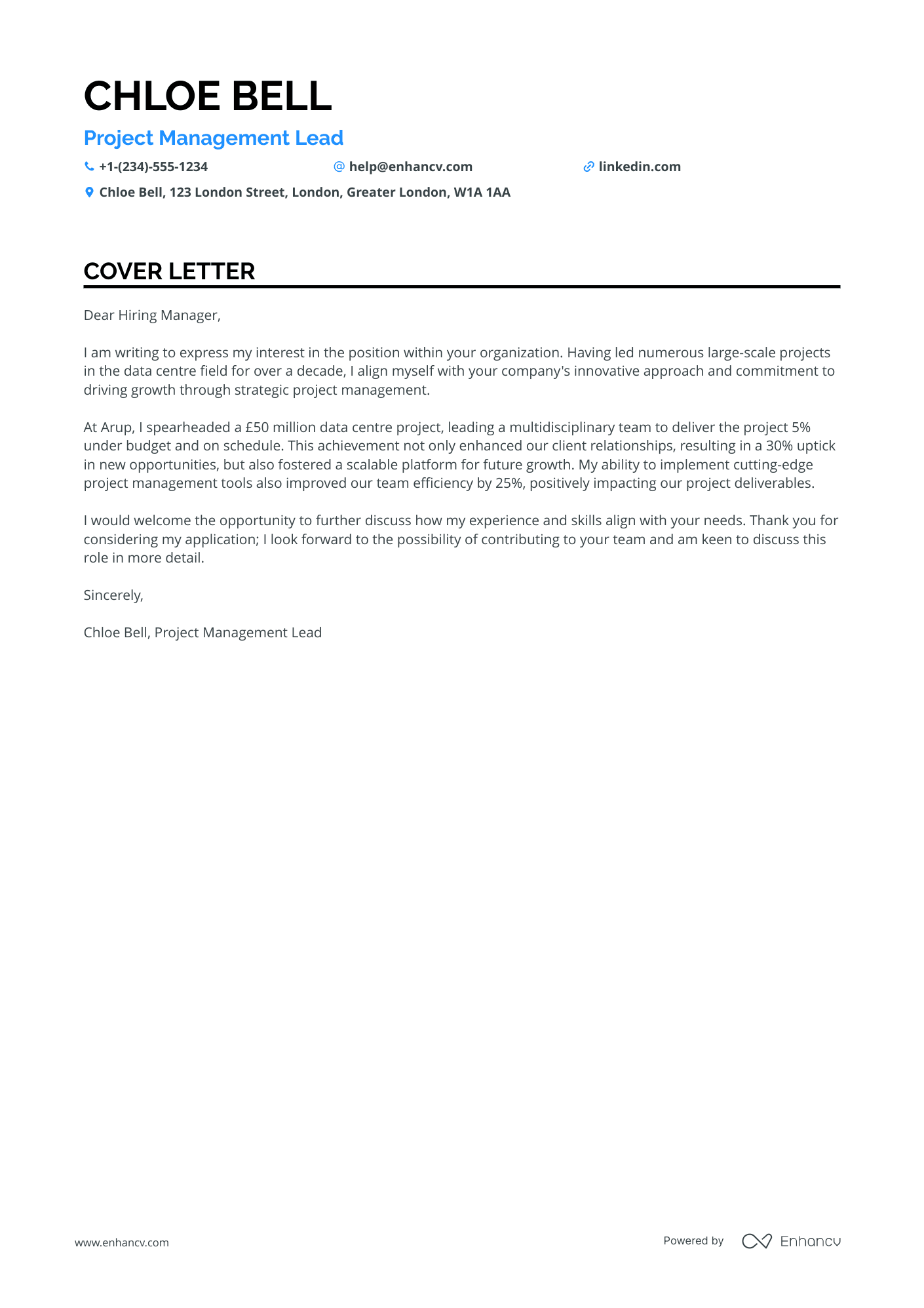 Experienced Mentor in Project Management