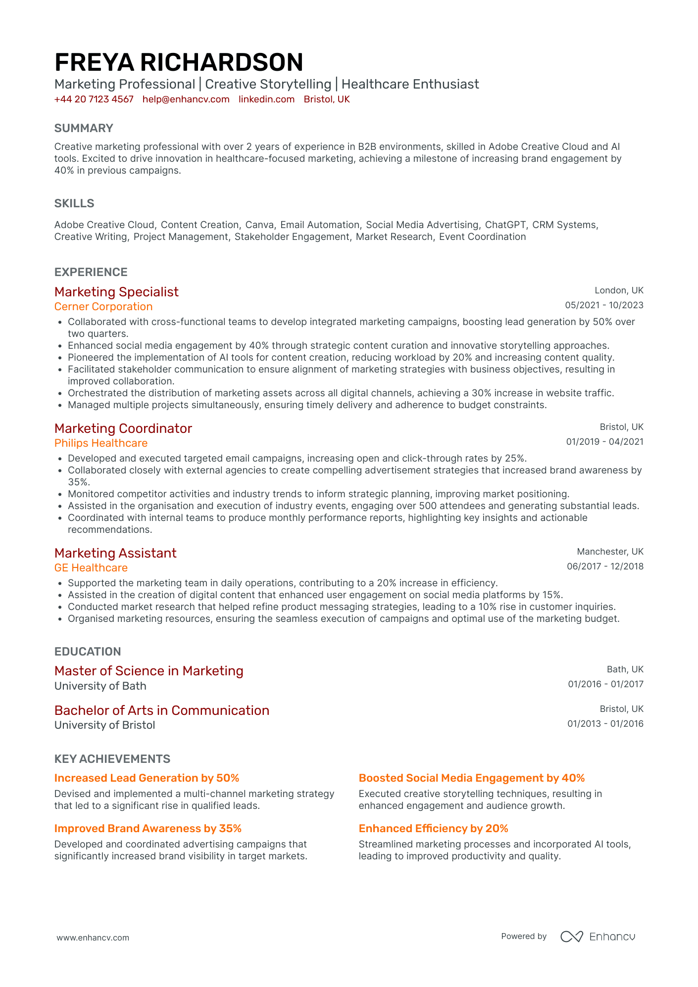Digital Marketing Executive for Healthcare Resume Example
