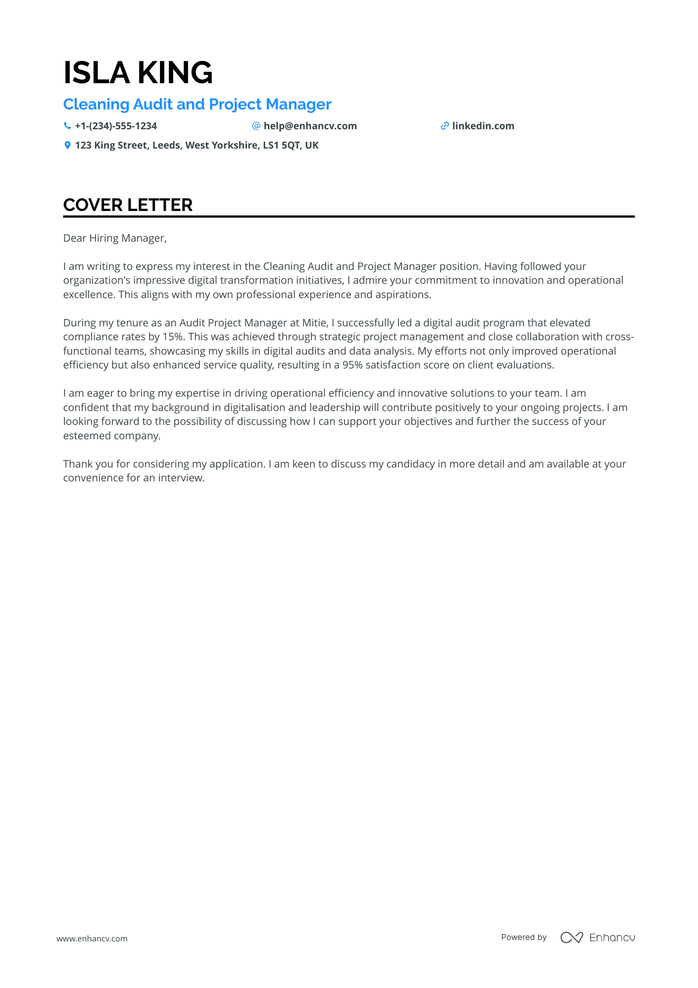 Audit Project Manager Resume Example
