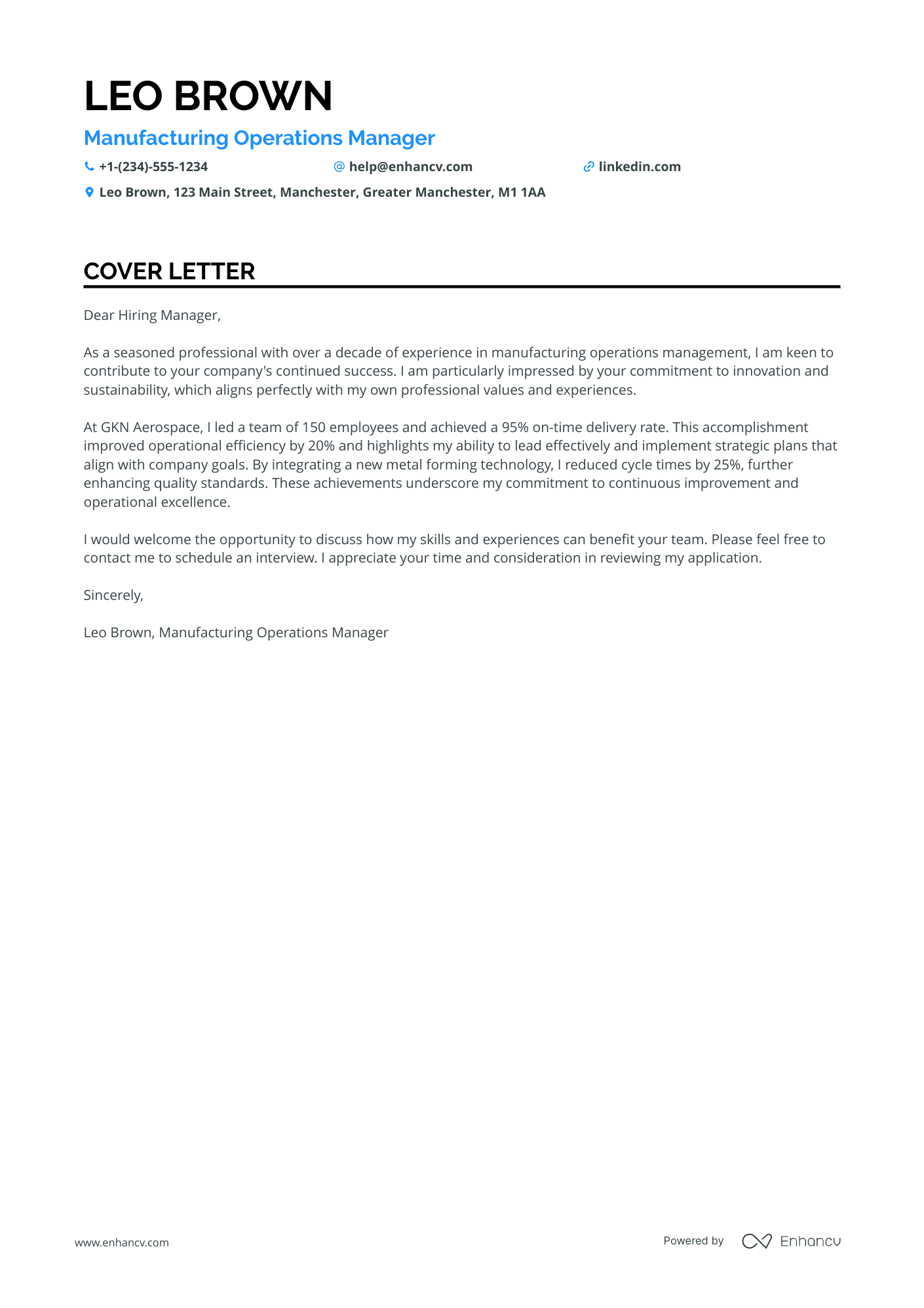Risk Manager in Manufacturing Resume Example