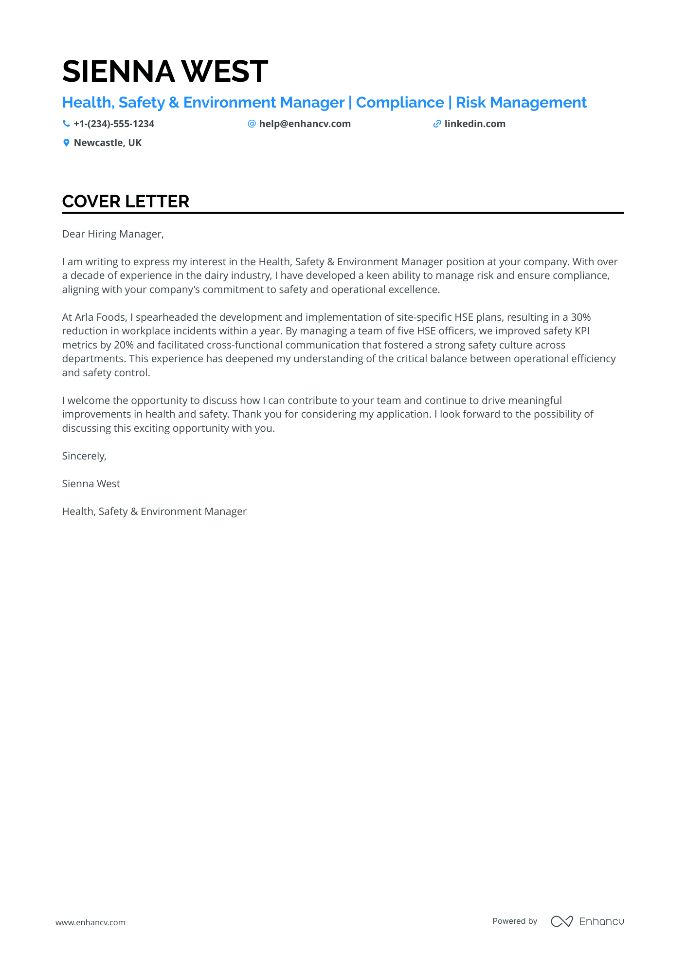 Health and Safety Audit Manager Resume Example