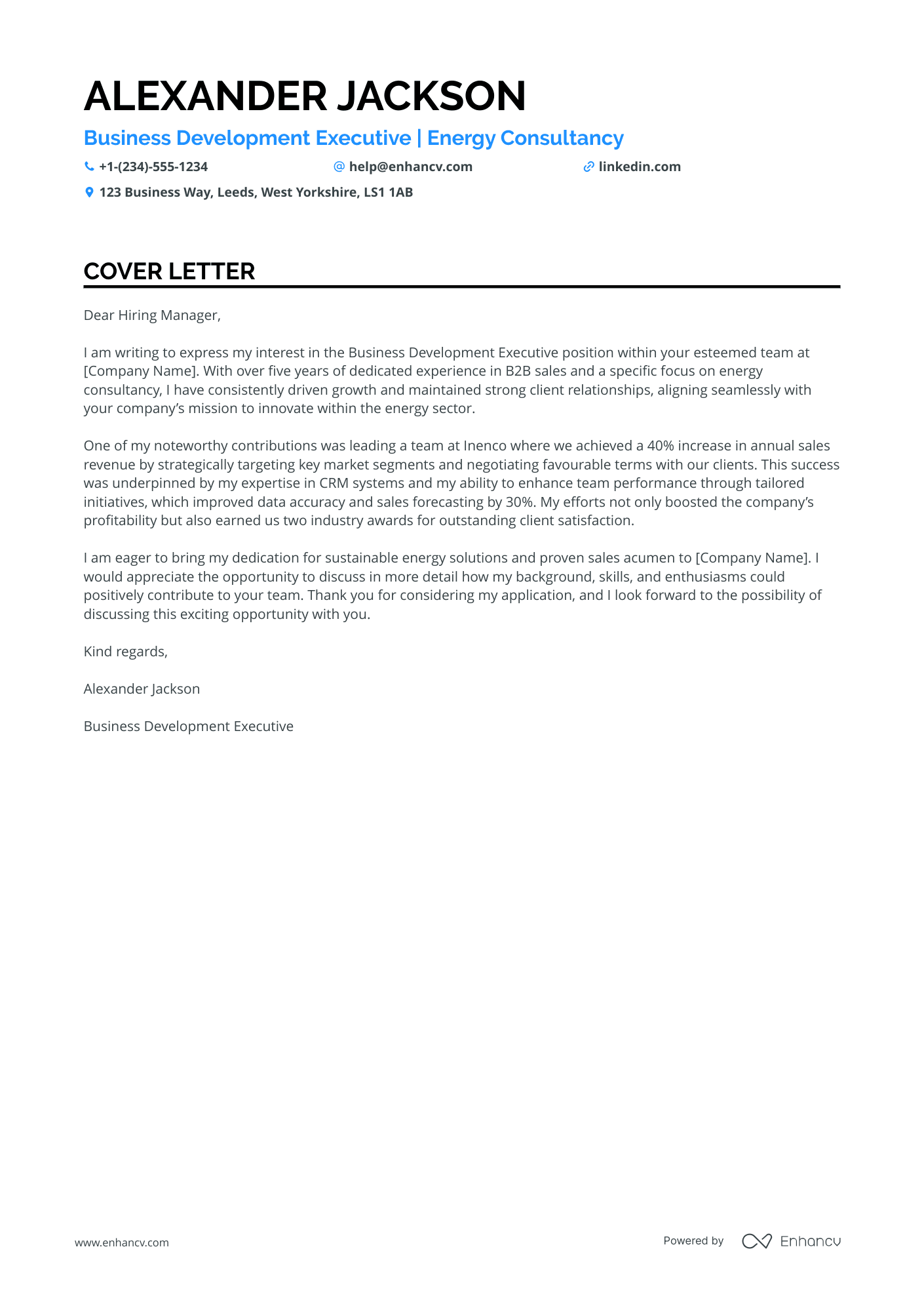 Business Development Executive in Energy Resume Example