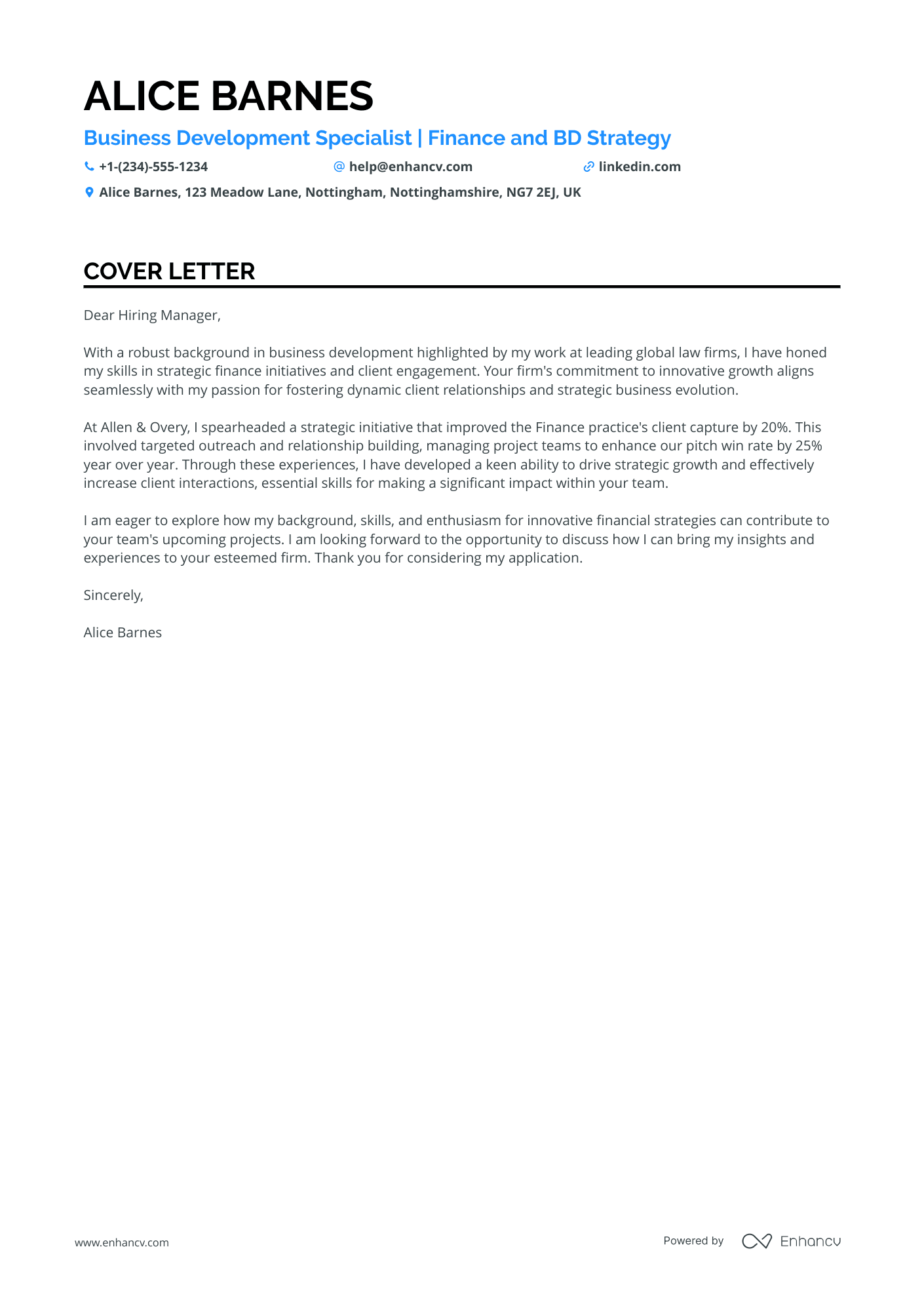 Business Development Executive in Financial Services Resume Example