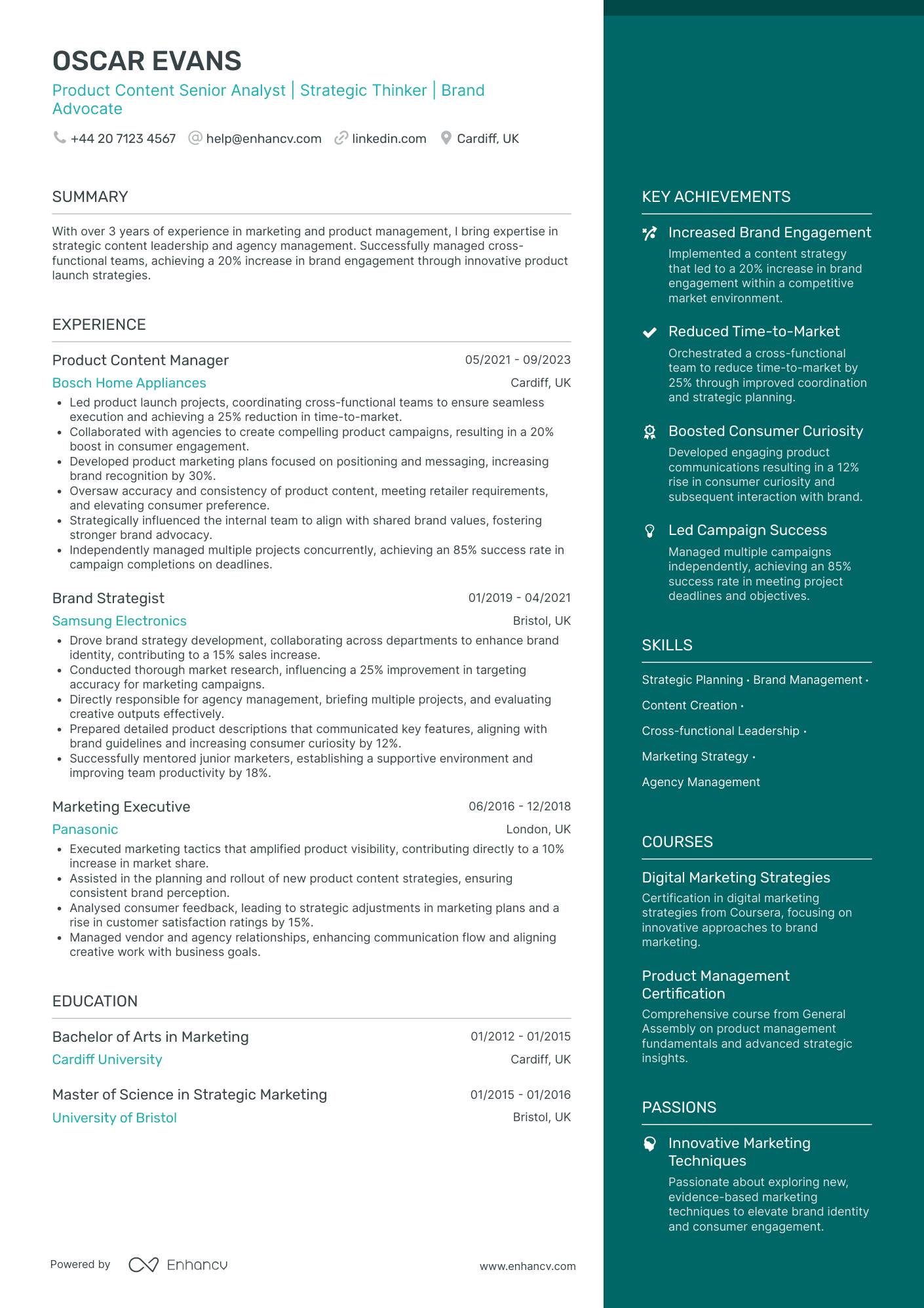 Brand Marketing Executive Resume Example