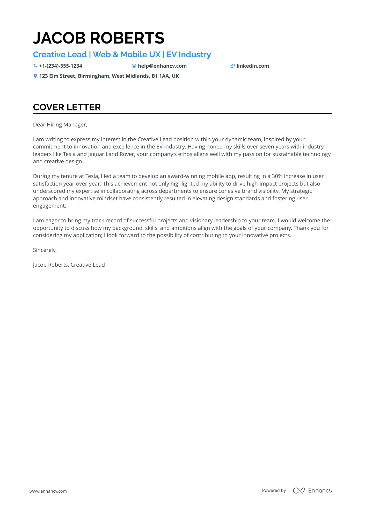 UI Designer for Automotive Industry Resume Example