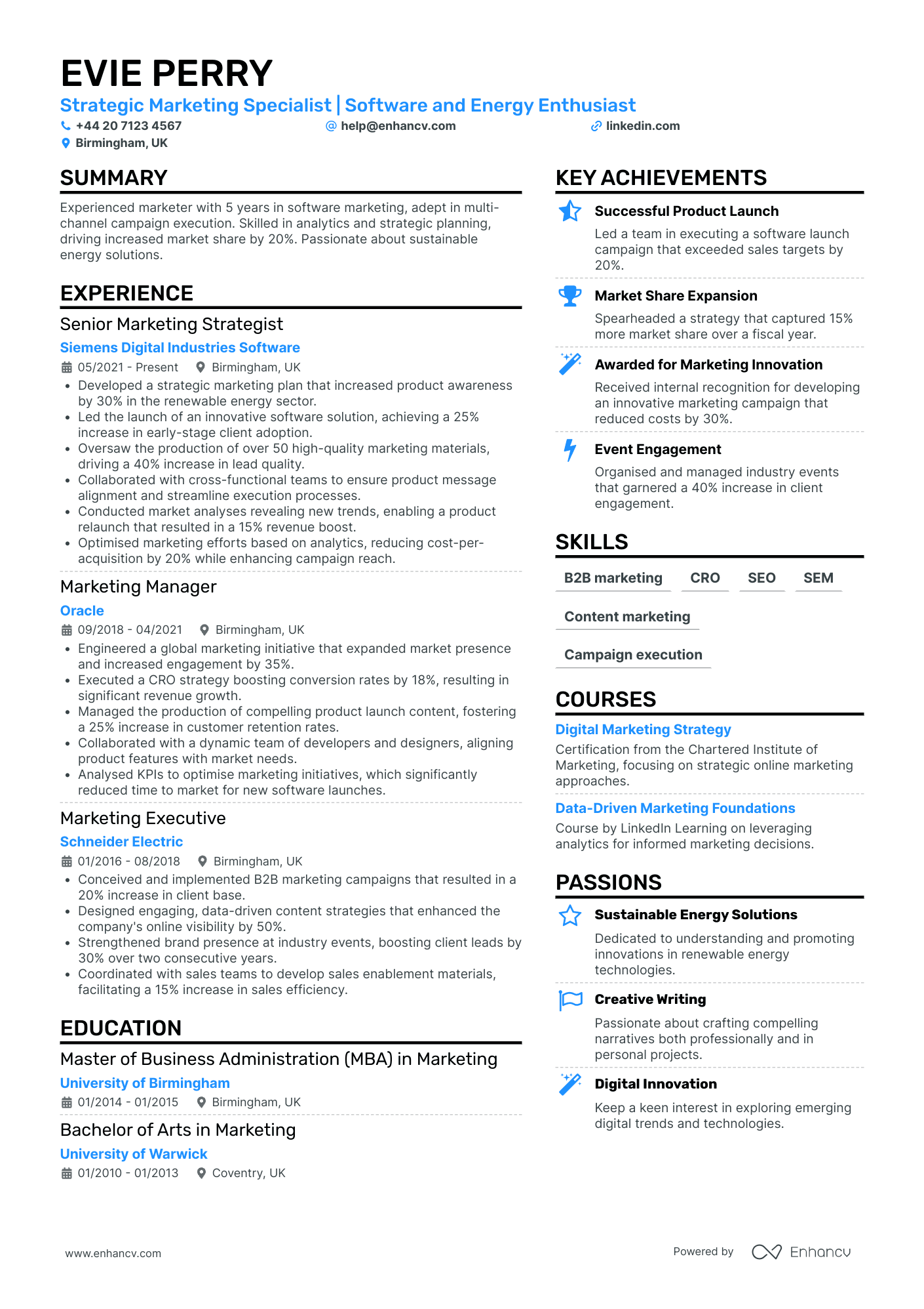 Direct Marketing Executive Resume Example