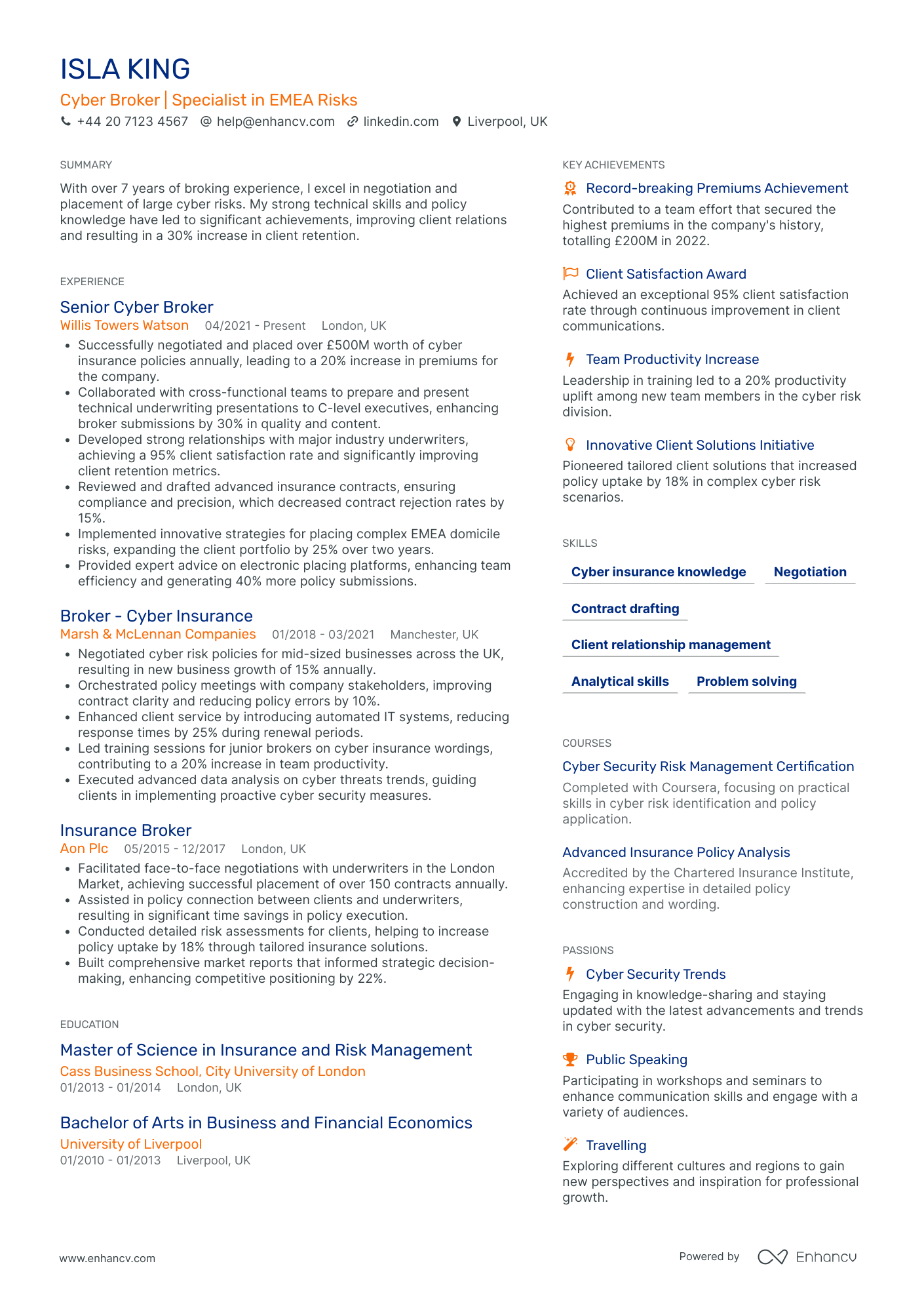 Cyber Risk Insurance Broker Resume Example