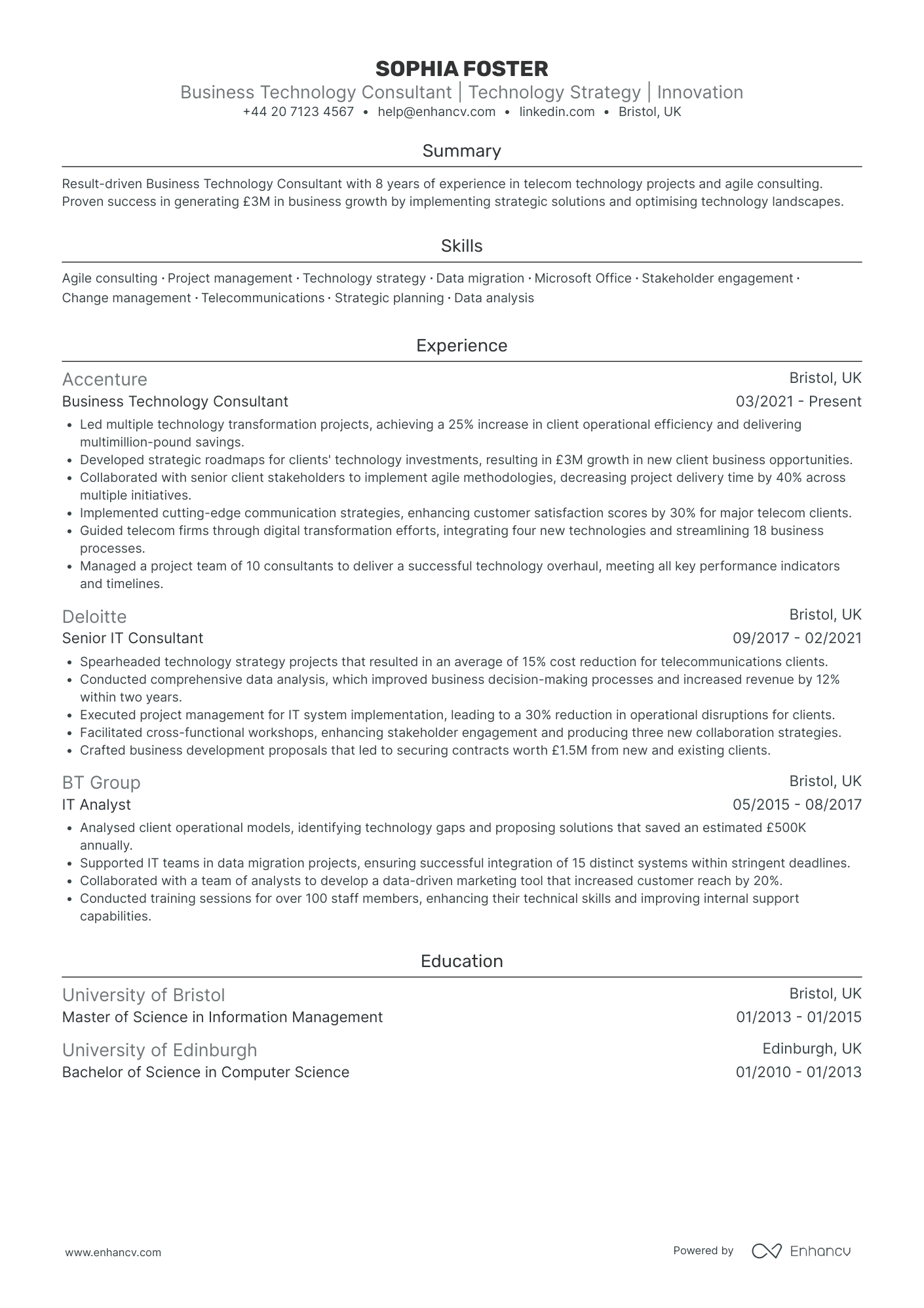 Business Technology Consultant Resume Example
