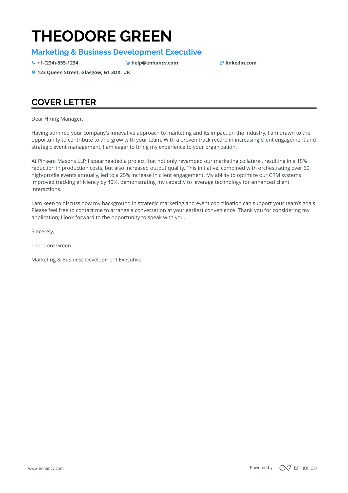 Business Development Executive in Digital Marketing Resume Example