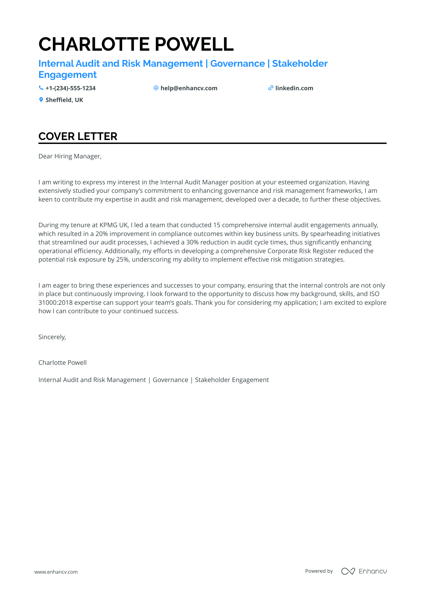 Risk Audit Manager Resume Example