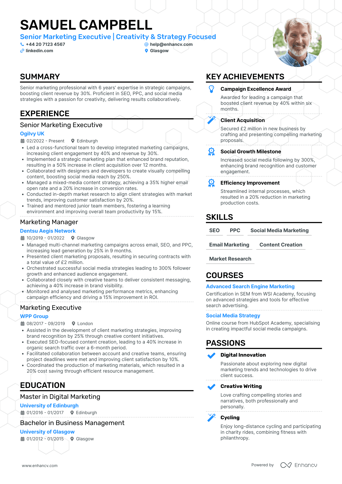 Senior Marketing Executive Resume Example