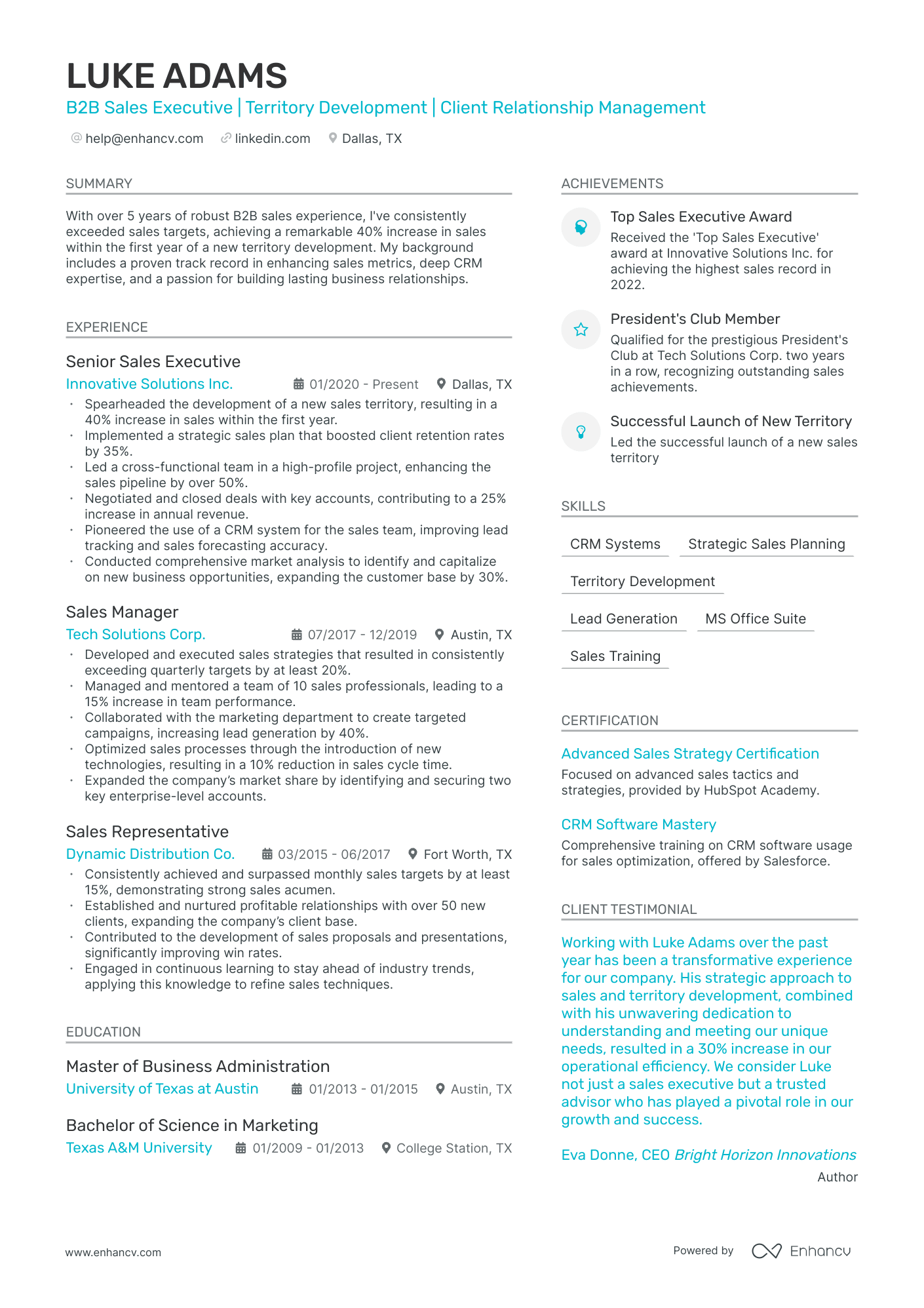 Sales Executive resume example
