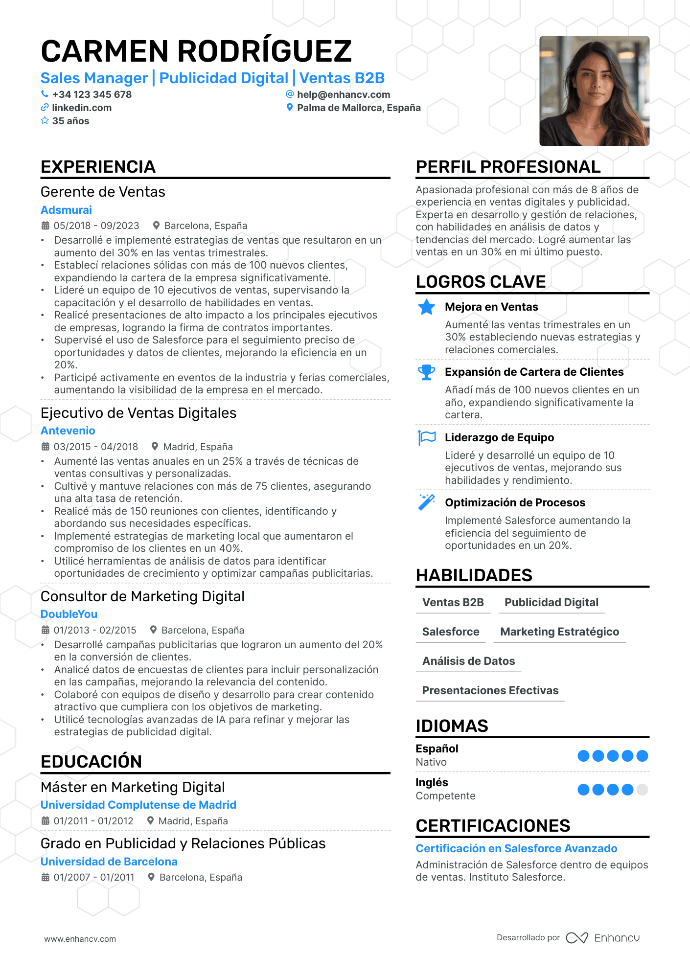 Director de Ventas CV